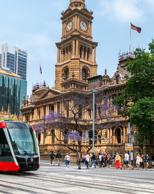 trams in sydney cbd picture